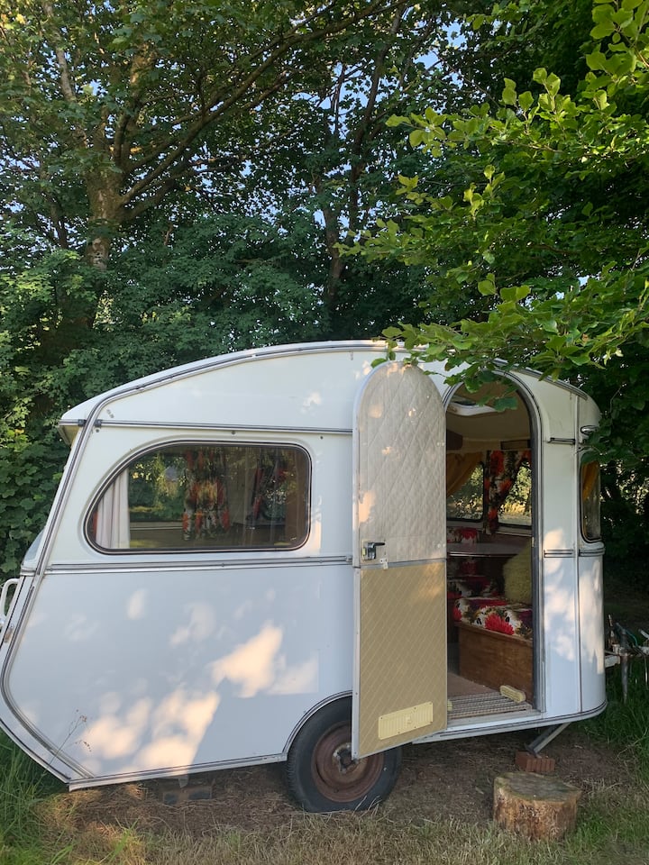 Chumba cha kulala 12