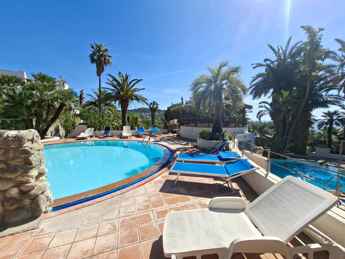 A tranquil outdoor area features two thermally heated pools, surrounded by lush palm trees and tropical plants. Comfortable lounge chairs are positioned around the poolside, inviting relaxation. Sunlight illuminates the space, highlighting the stone and tiled surfaces.