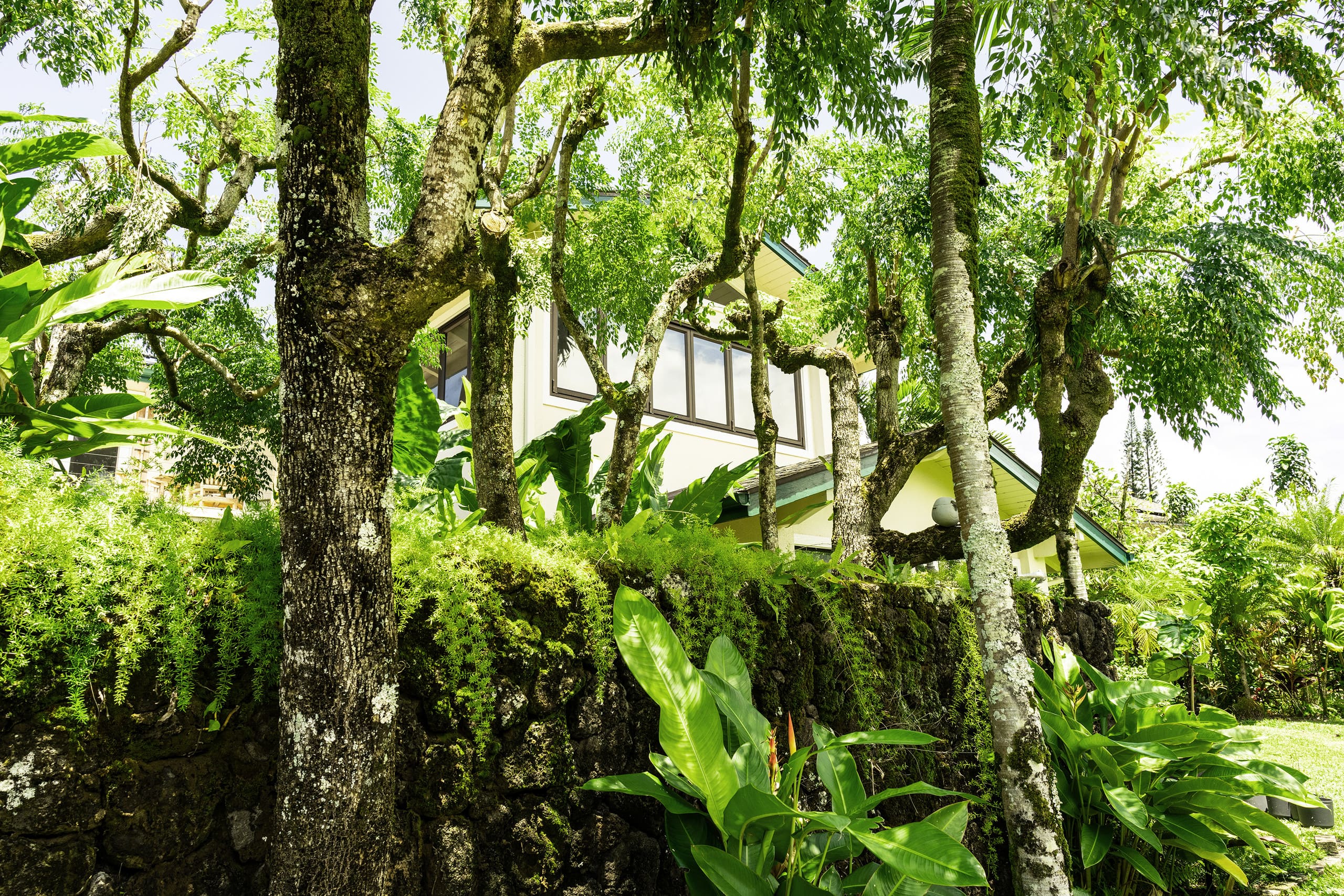Home in Princeville · ★4.86 · 3 bedrooms · 4 beds · 2.5 baths - Image 83