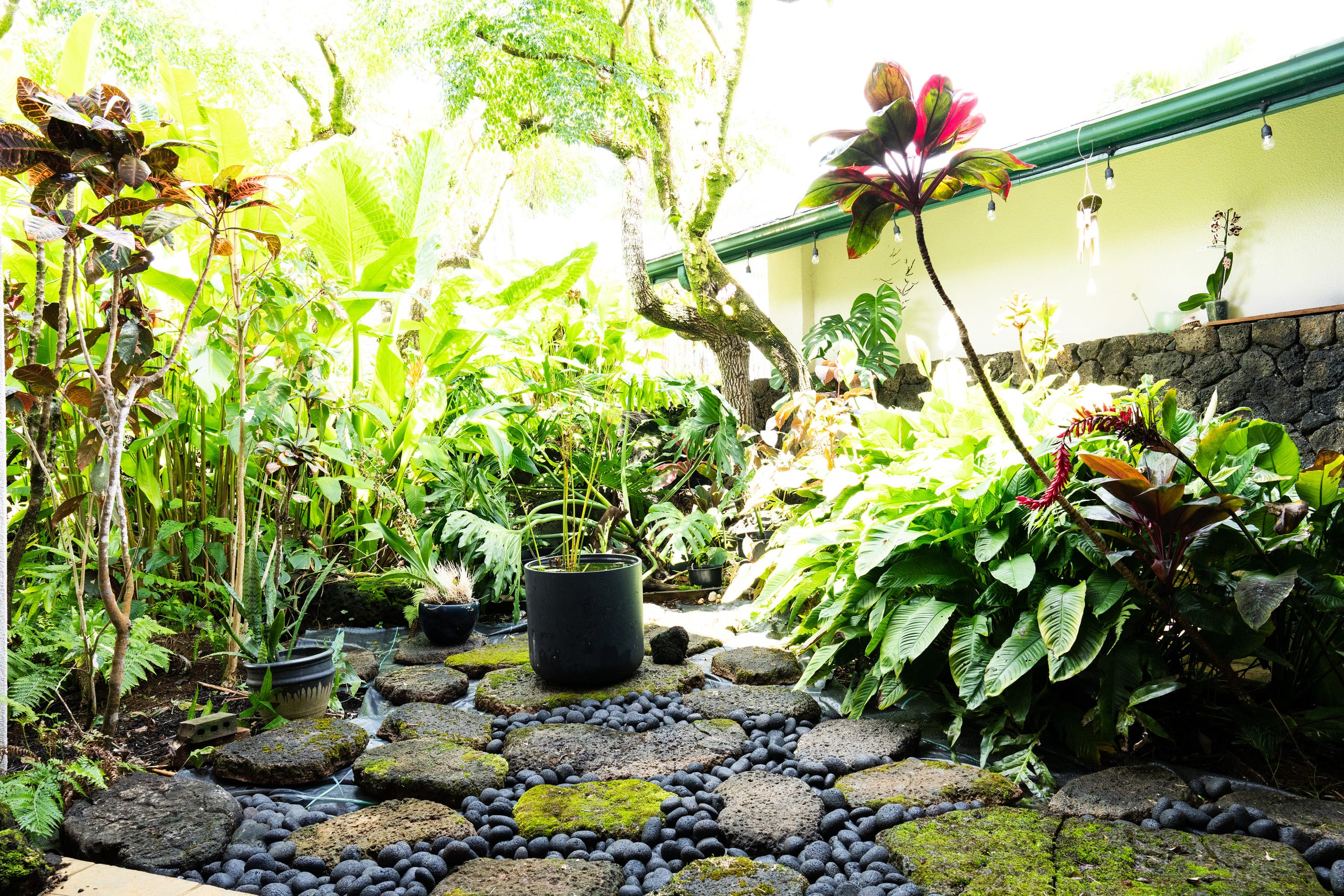 Home in Princeville · ★4.86 · 3 bedrooms · 4 beds · 2.5 baths - Image 74