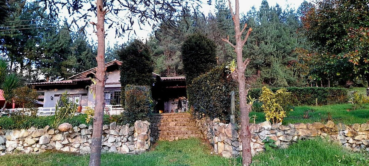 A rustic country house is framed by neatly trimmed hedges and tall trees. Stone steps lead up to the entrance, while natural greenery surrounds the property. The peaceful setting is enhanced by the forest backdrop, creating a serene escape into nature.