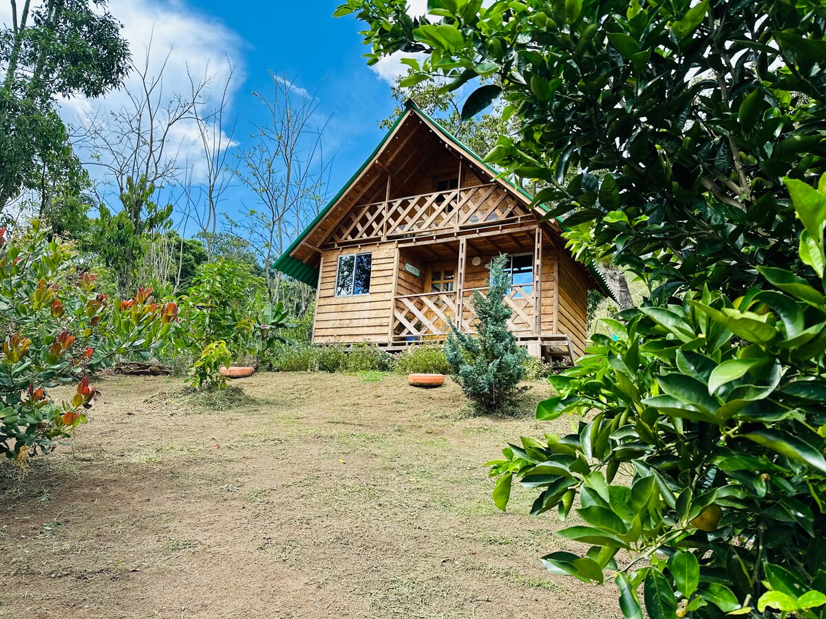 A rustic wooden cabin is nestled among greenery, featuring a sloped roof and open porch. The inviting exterior is complemented by surrounding vibrant foliage, creating a serene environment. Distant trees and a clear blue sky provide a picturesque backdrop for a peaceful escape.
