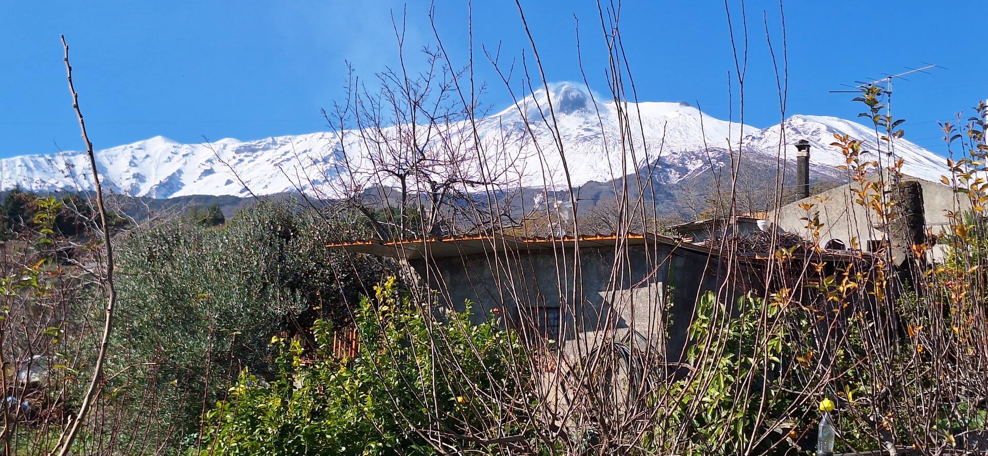 Casa Leopina Apri gli occhi e vola oltre il mare — photo 4
