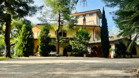 House of Leaves: trees, swimming pool and tennis