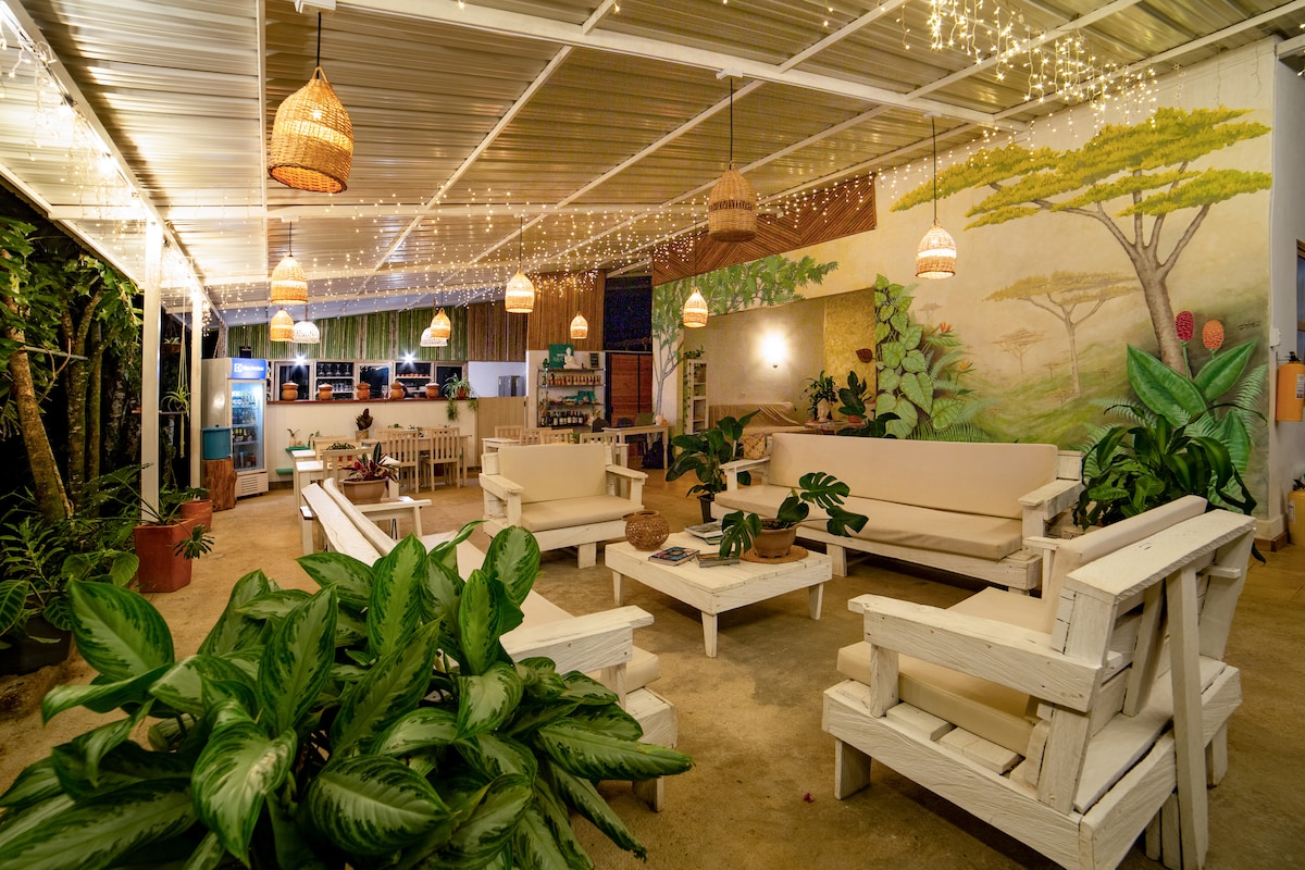 An open communal space features white wooden seating arranged in a relaxed layout, surrounded by lush greenery and vibrant wall murals. Soft pendant lights illuminate the area, enhancing a calm ambiance. A counter area is visible in the background, adding to the welcoming atmosphere.