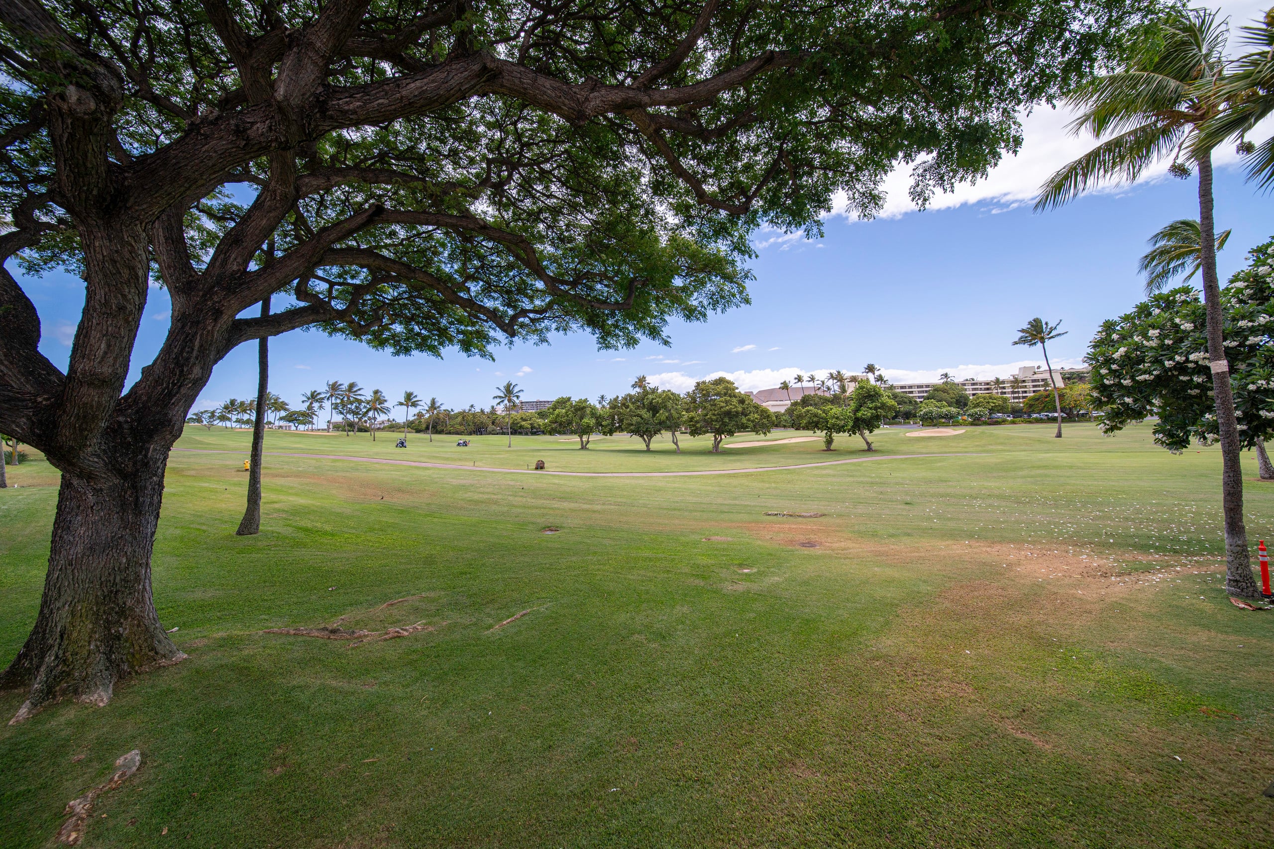 Unit H204 Garden View 1 BD/1BA + Bonus Room - Photo 15