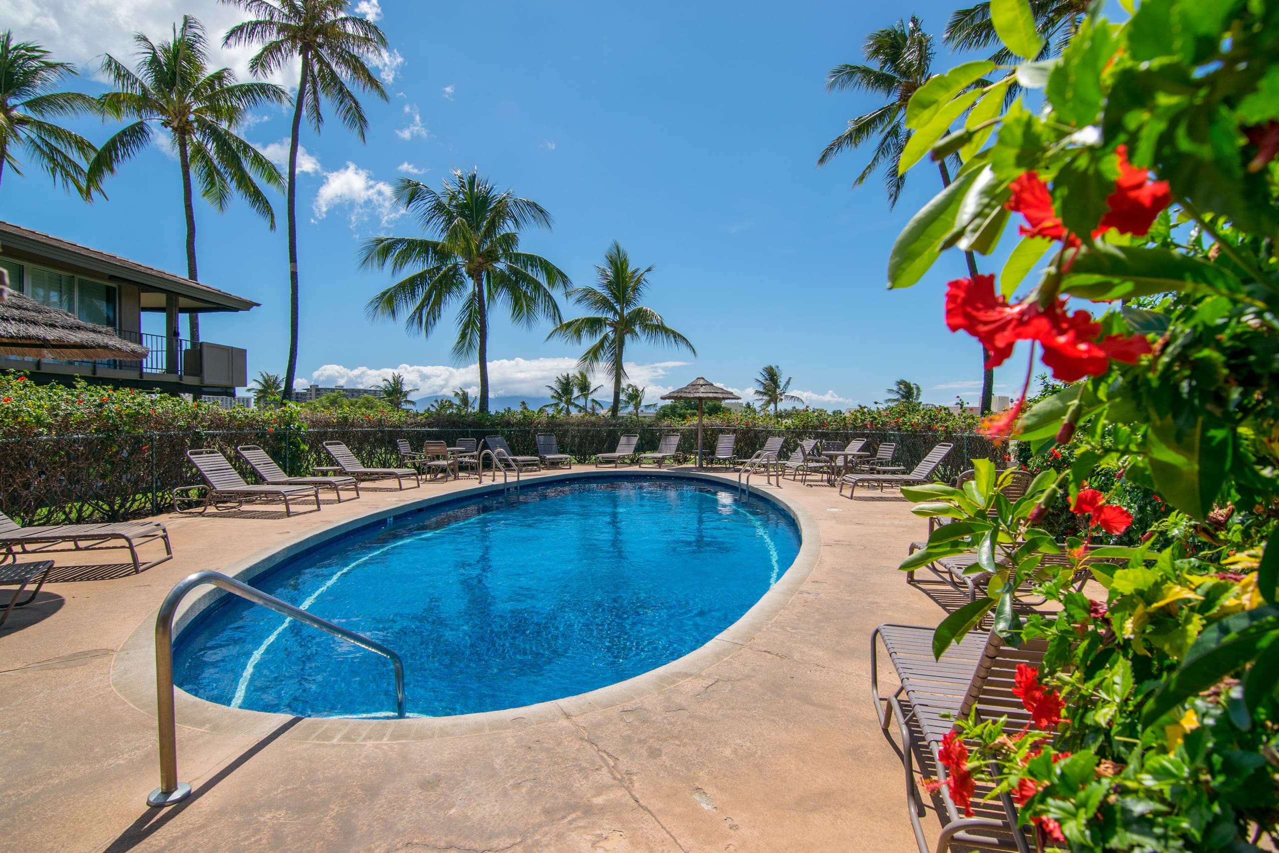 Unit H204 Garden View 1 BD/1BA + Bonus Room - Photo 26