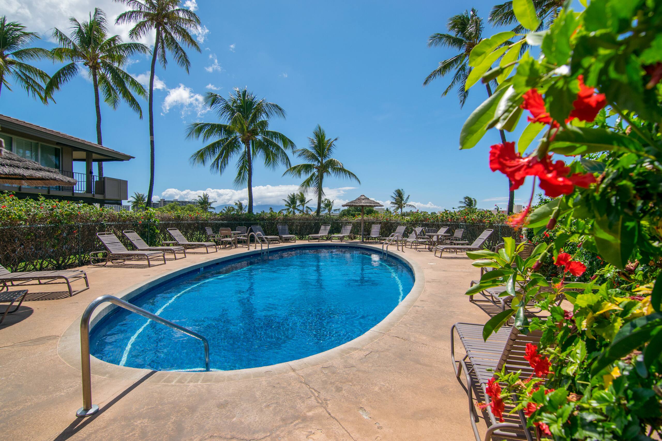 Kaanapali Maui Eldorado J204 Garden View 1BR/1BA - Image 21