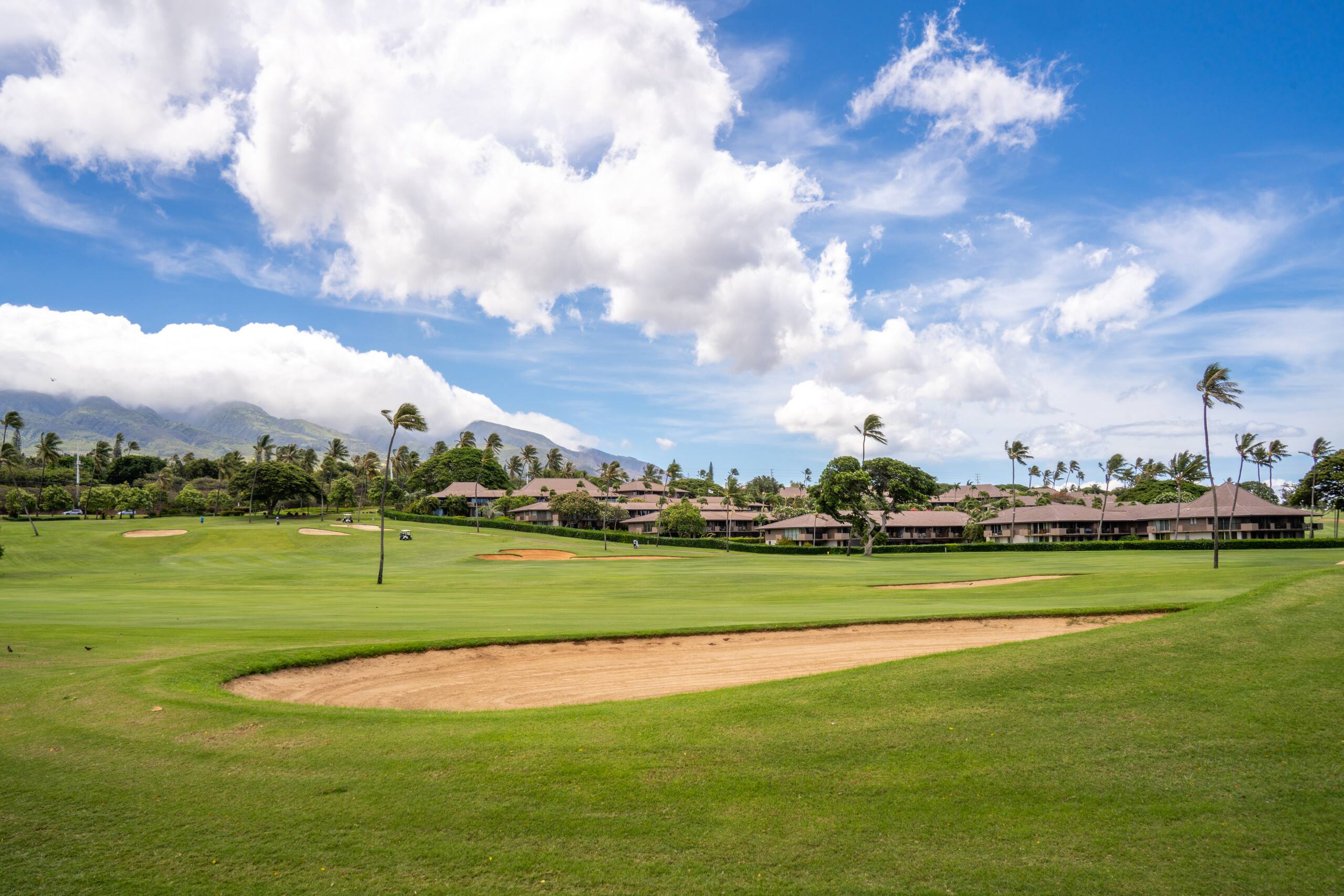 Kaanapali Maui Eldorado J204 Garden View 1BR/1BA - Image 32