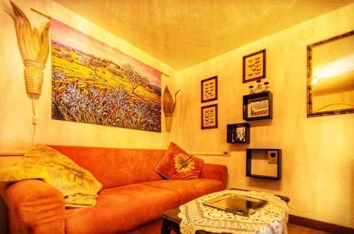 带双人沙发床的卧室