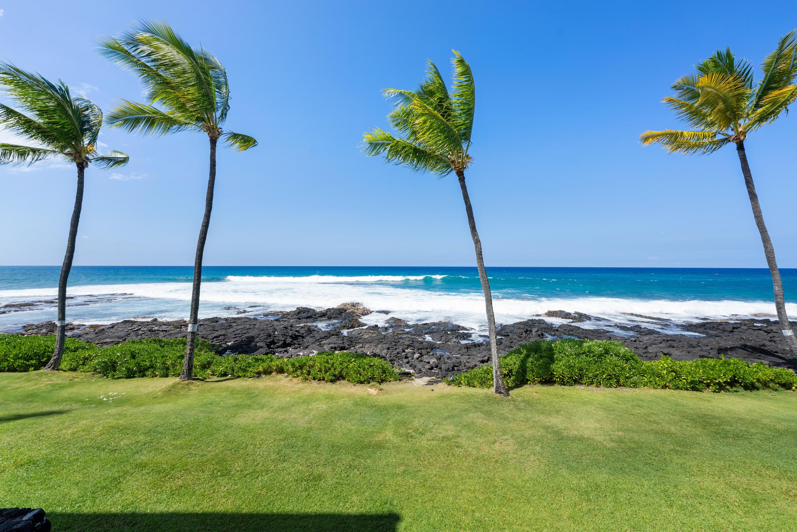 Condo in Kailua-Kona · ★5.0 · 1 bedroom · 2 beds · 1 bath - Image 39