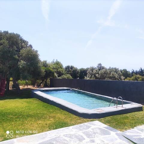 Spatious villa near Guincho Beach, Cascais gallery image 2