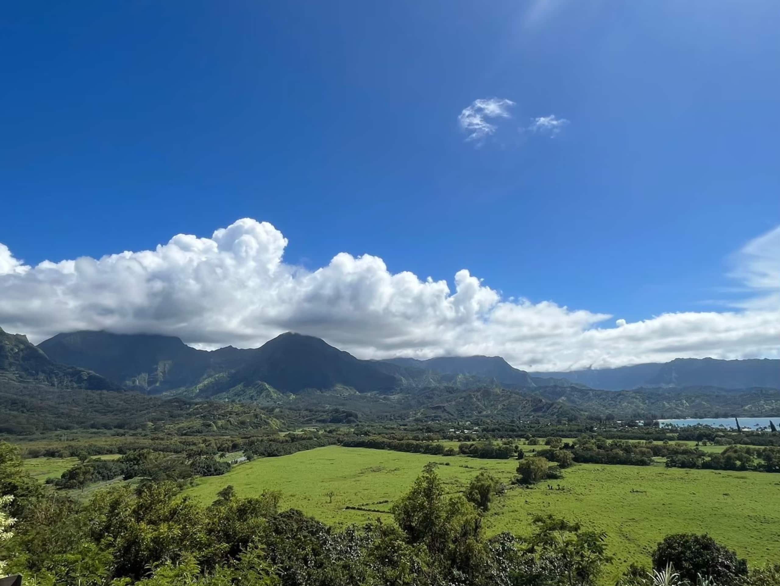 Condo in Honolulu · ★4.43 · 1 bedroom · 2 beds · 1 private bath - Image 18