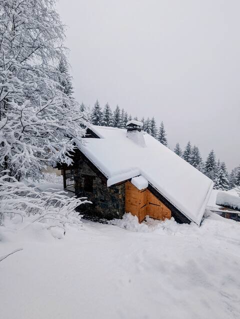 Chalet in Oz, 150 m from the Alpe d'Huez ski area