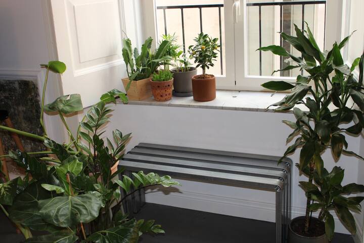 “LeoApartment” – Historic City Center District gallery image 4