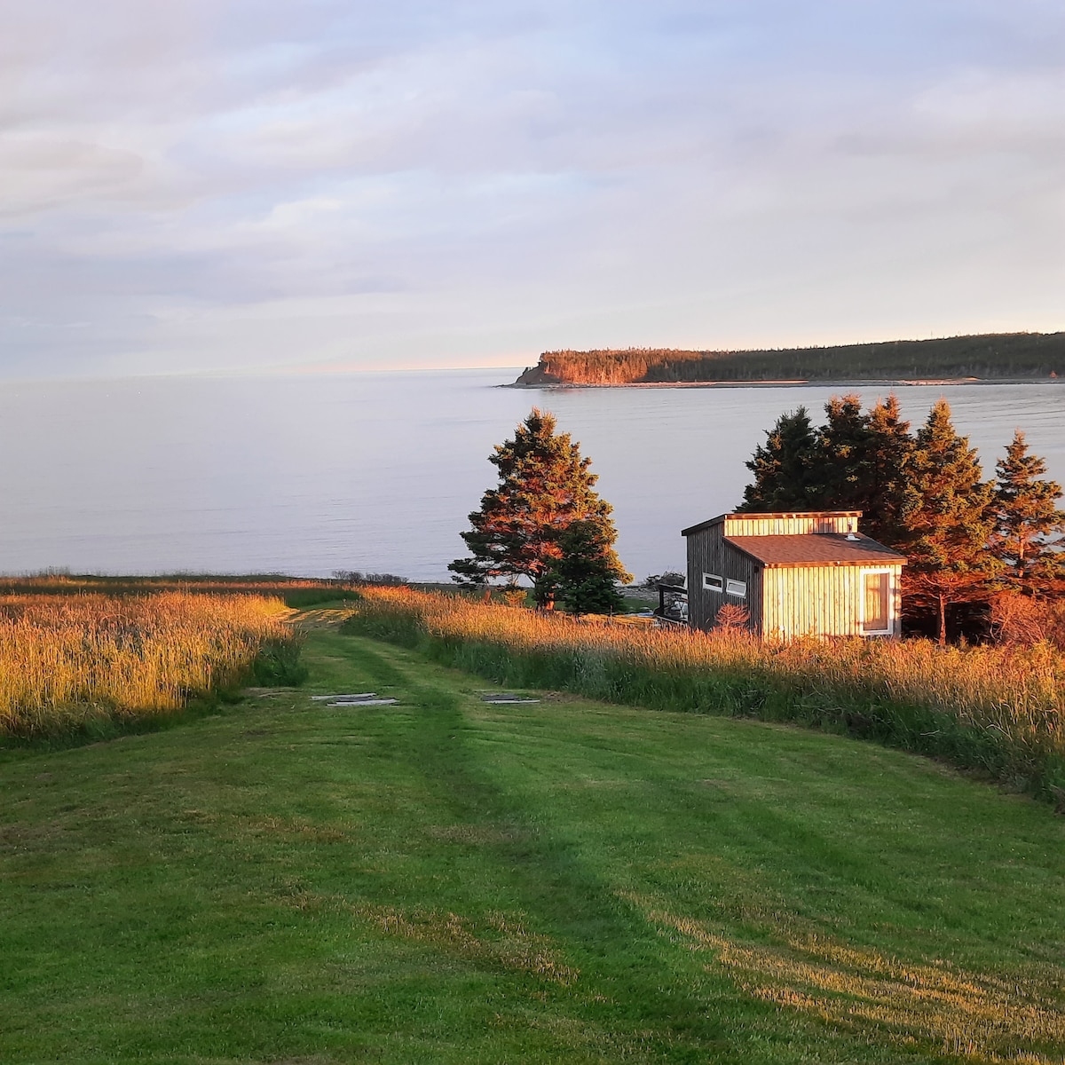 A charming wooden cabin is positioned near the shoreline, surrounded by lush green grass and tall trees. A peaceful dirt path leads through the open field toward the cabin, with gentle waves visible in the distance under soft evening light.