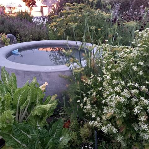 Melkbos Beach Cottage gallery image 5