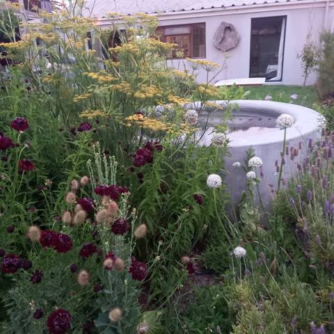 Melkbos Beach Cottage