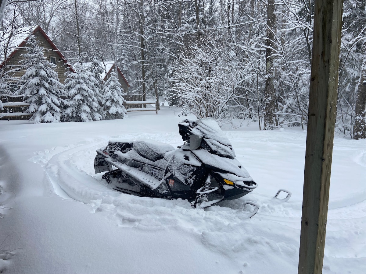 A snowmobile is situated in a snowy landscape, partially covered in a layer of fresh snow. Pine trees and snowy branches frame the background, contributing to a serene wintry scene. The exterior of a cabin is visible in the distance beyond the trees.