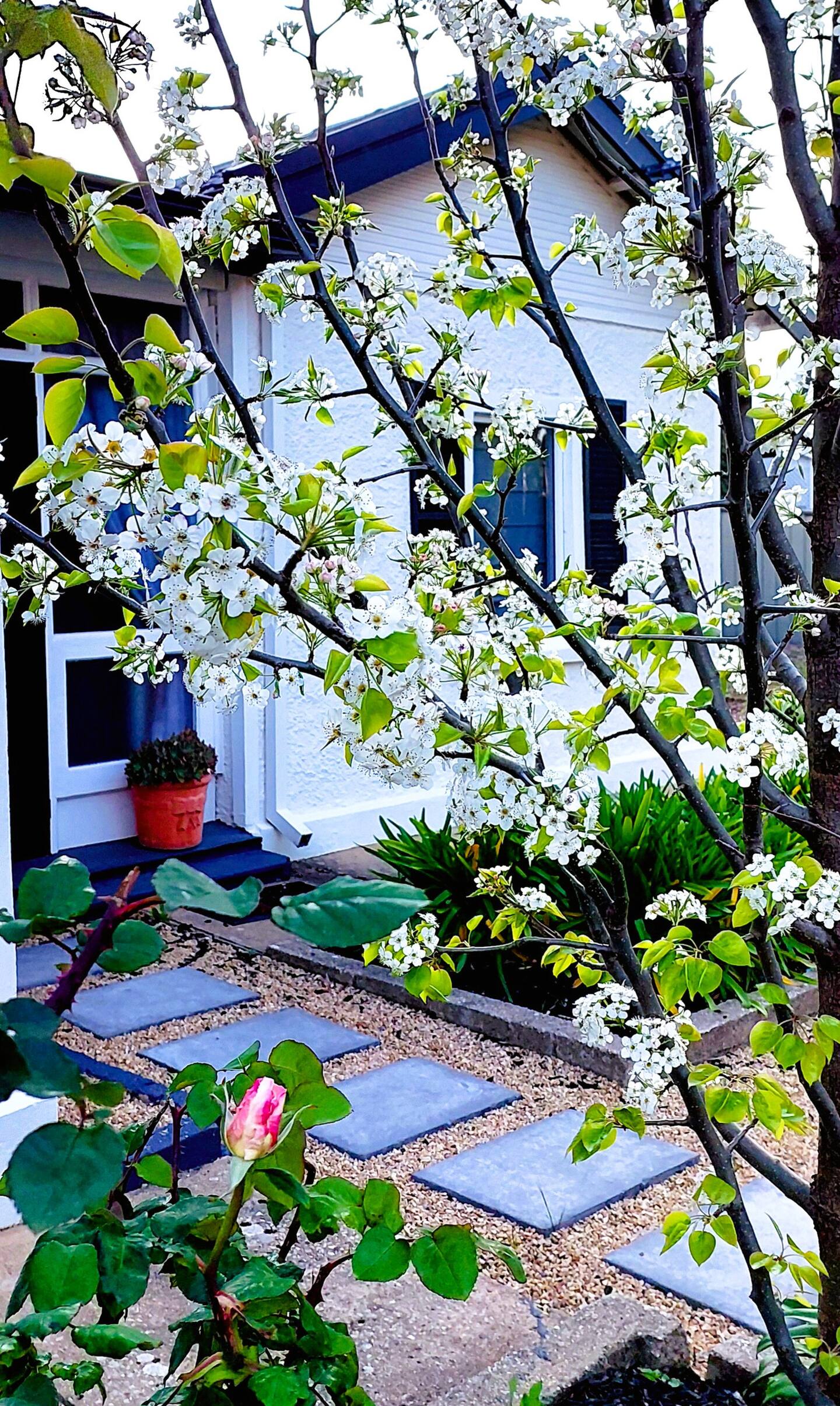 Isadore House