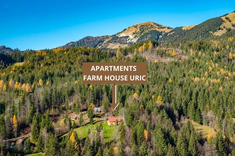 * Apartments Farm House Uric / Nature / Horses *