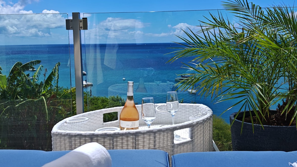 A serene outdoor seating area features a glass table, set with a bottle of rosé and two glasses, overlooking the ocean. Lush greenery and a palm plant add to the tropical ambiance, with clear blue skies and calm waters in the background.