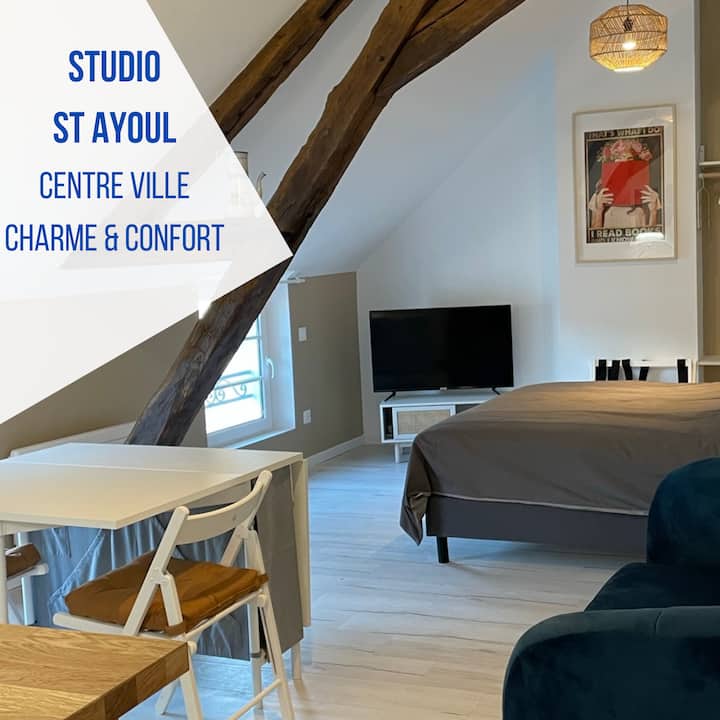 Studio St Ayoul - Centre Provins - Provins