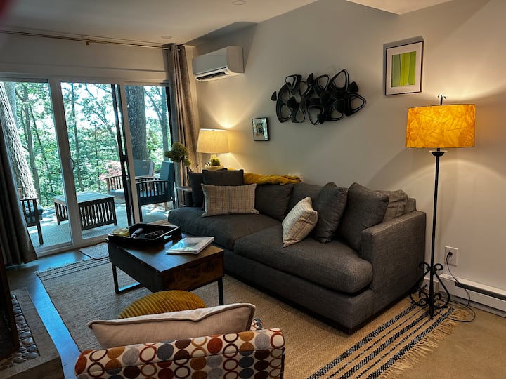 Luxury Efficiency Suite - Asheville, NC