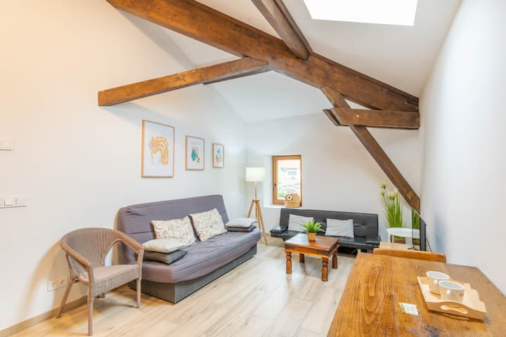 Acogedor Y Gran Apartamento Ideal Para Tu Descanso - Saint-Jean-Pied-de-Port