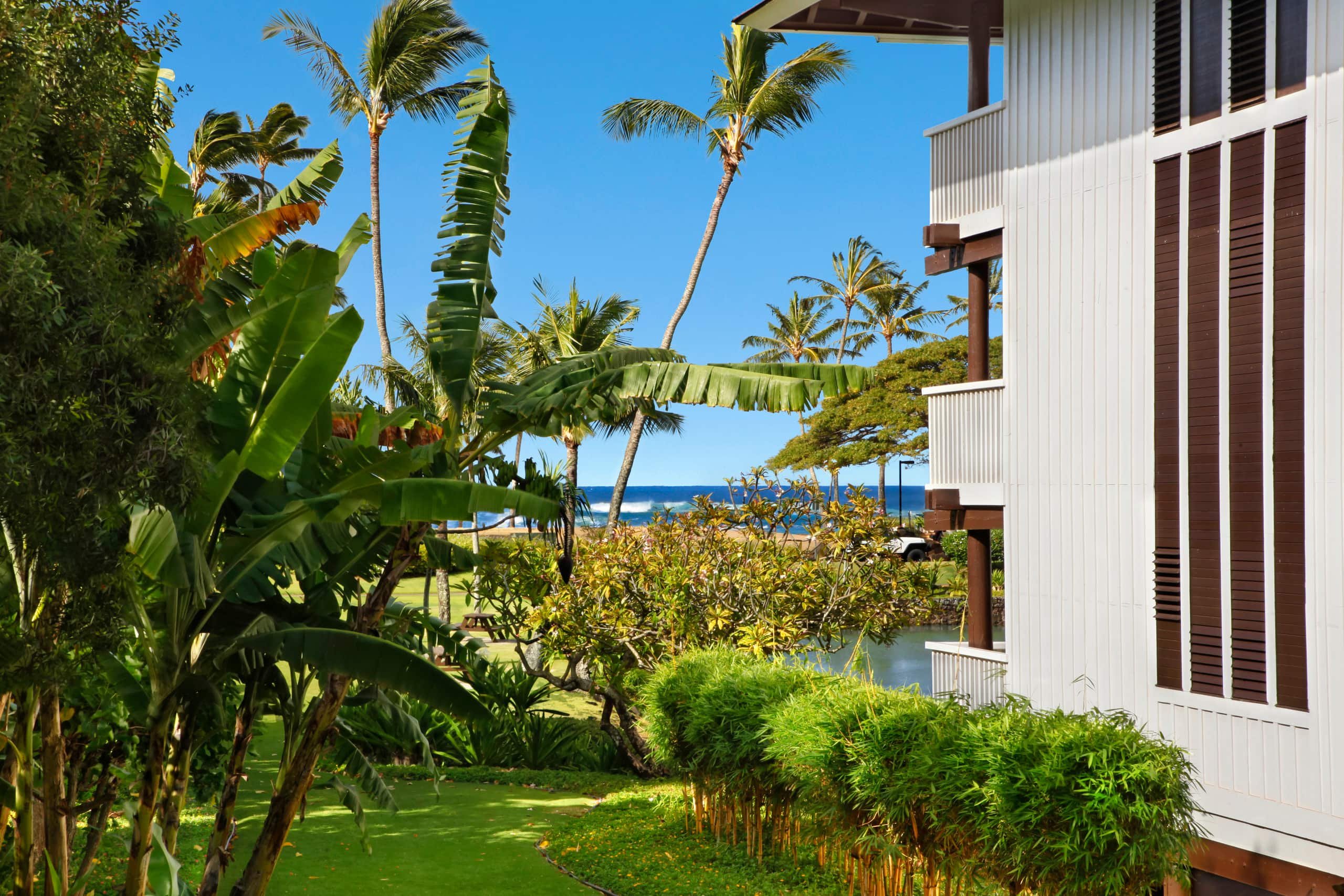 Kiahuna Plantation Resort Royal Garden 1BD/1BA - Photo 10