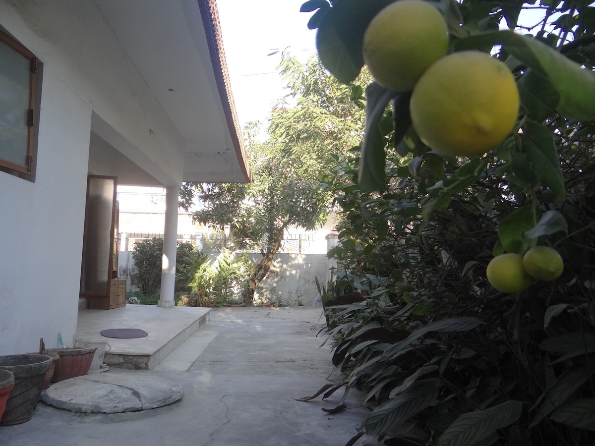 A garden area is visible, lined with green foliage and a lemon tree bearing yellow fruit. A cement pathway leads to the entrance of the house, which features a covered porch. Soft sunlight illuminates the space, adding warmth to the surroundings.