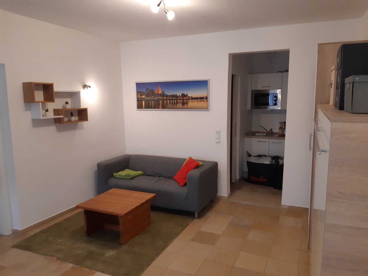 Successful Airbnb property: View of the cathedral from Donauinsel in Regensburg