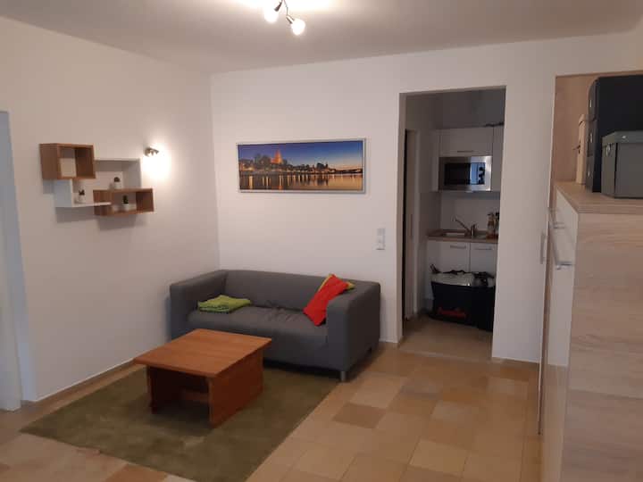 Domblick Von Donauinsel - Regensburg