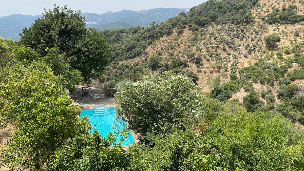 A private swimming pool is surrounded by lush greenery and natural landscapes, showcasing a serene setting. Nearby trees provide shade, while rolling hills in the background feature olive groves and flora, highlighting the tranquil atmosphere of the rural location.