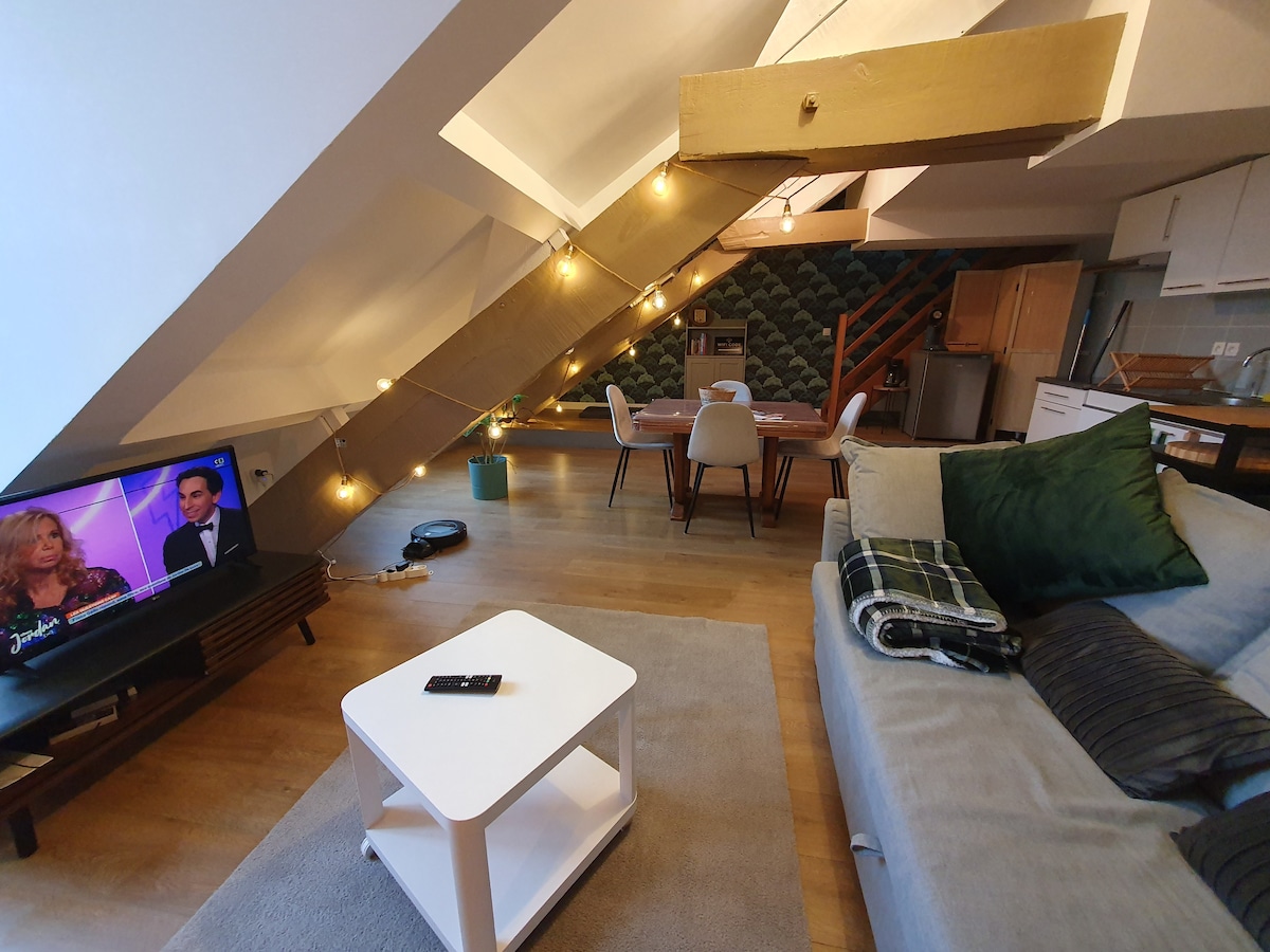 Airbnb con migliori performance: Duplex with view of Sedan Castle a Sedan