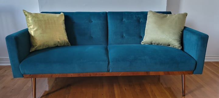 Entire Apartment In A Brooklyn Brownstone - Crown Heights, NY