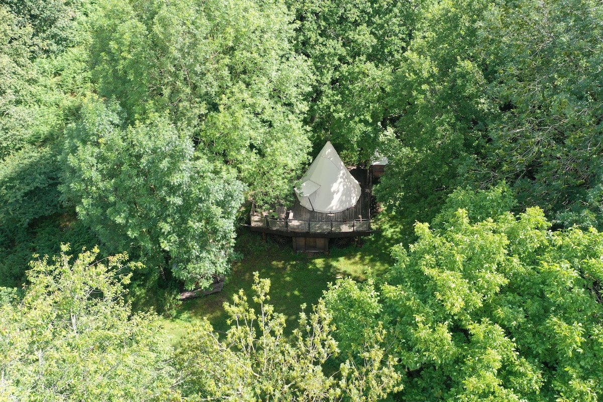 A secluded tipi is nestled among dense greenery, surrounded by tall trees. A spacious wooden deck encircles the tipi, providing a natural setting for relaxation. The lush grass below adds to the serene atmosphere, creating a private retreat in the heart of nature.