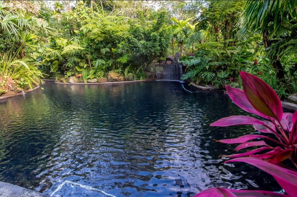 A serene pool surrounded by lush tropical foliage invites relaxation. A gentle water feature is visible, adding to the tranquil environment. Colorful plants in the foreground contrast with the dark water, creating a harmonious natural setting.