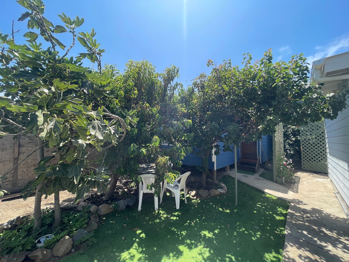 A green garden area is filled with lush fruit trees, surrounded by a gravel path. Two white chairs are positioned under the shade, offering a spot to relax. Sunlight filters through the trees, creating a tranquil outdoor space.
