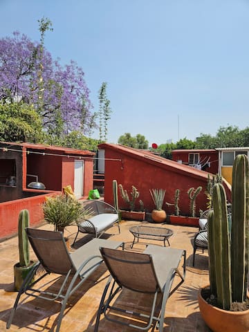 Very Lovely Apartment (Condesa – close to Lardo)