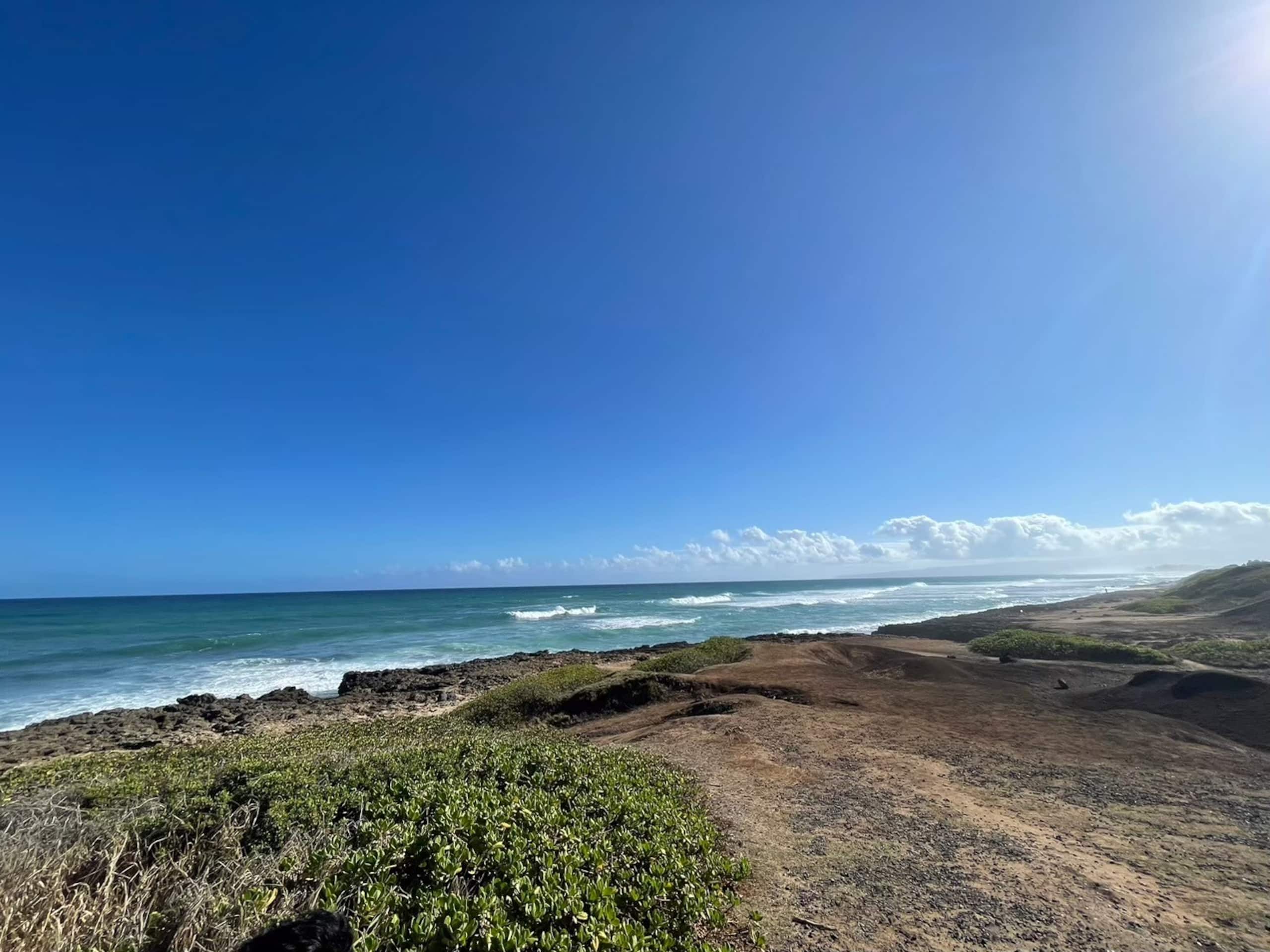 Condo in Honolulu · ★4.83 · Studio · 1 bed · 1 private bath - Image 22