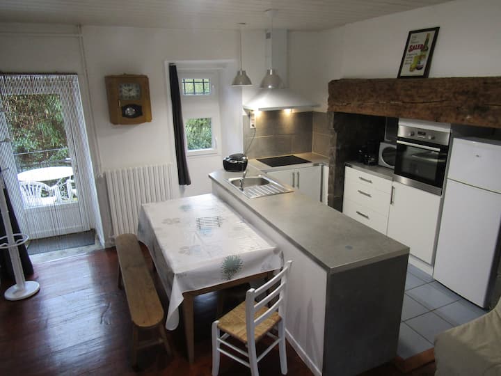 Charmant Gite 45m2  Proche Aurillac - Aurillac