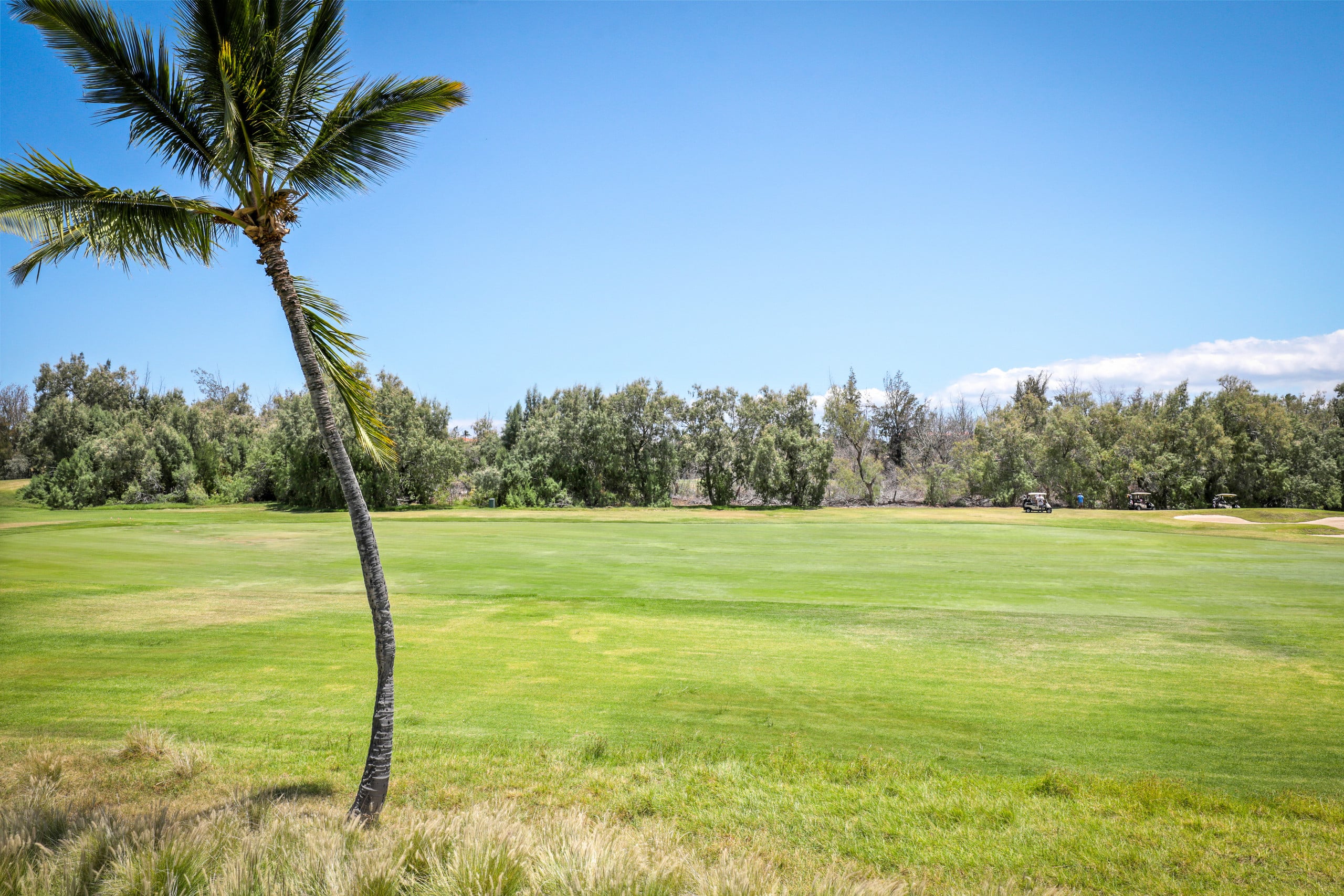 Fairway Villas Waikoloa Golf View 2BD/2BA - Image 39