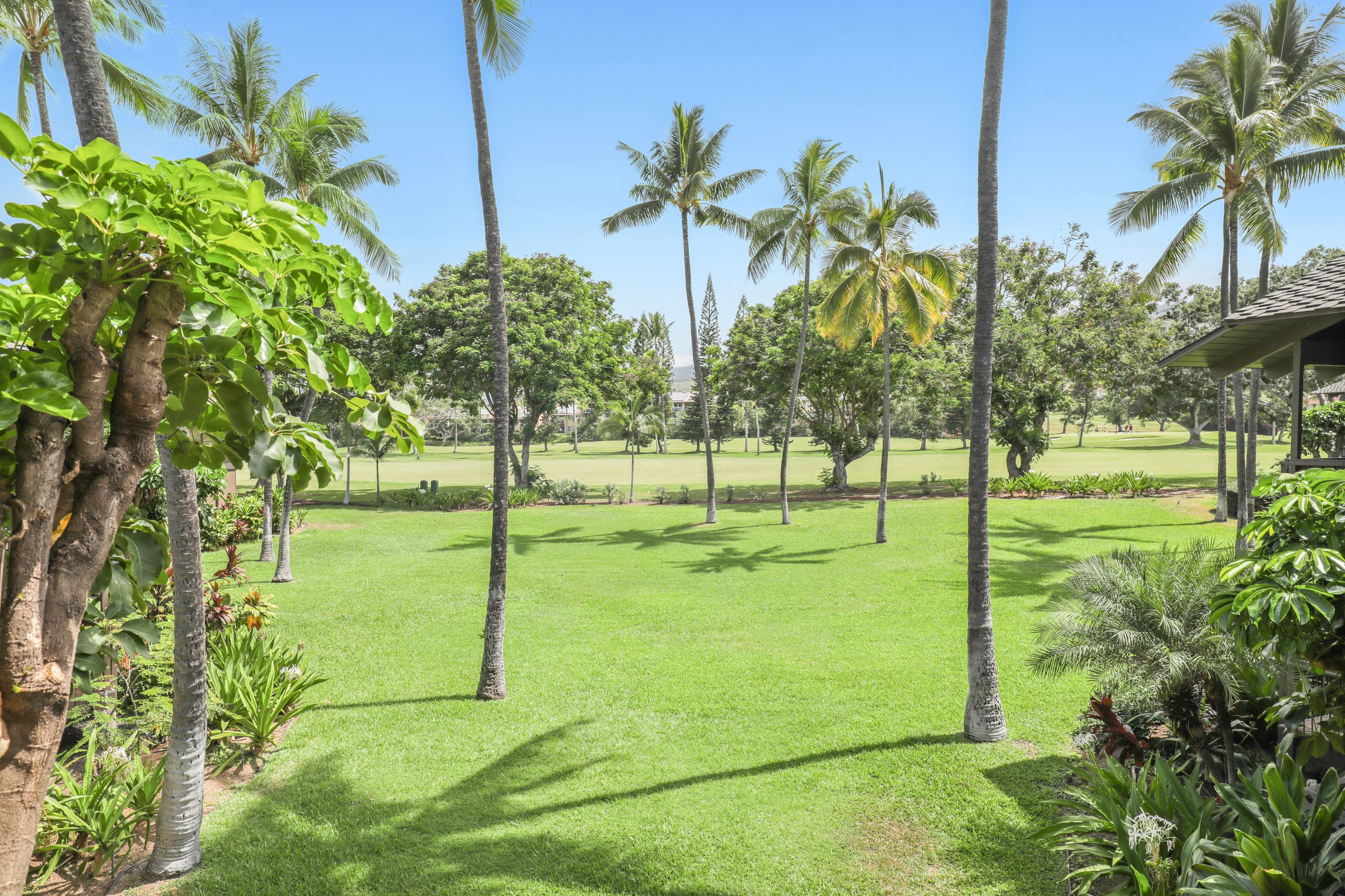 Kanaloa at Kona Fairway View 1 Bedroom 1 Bath - Photo 37
