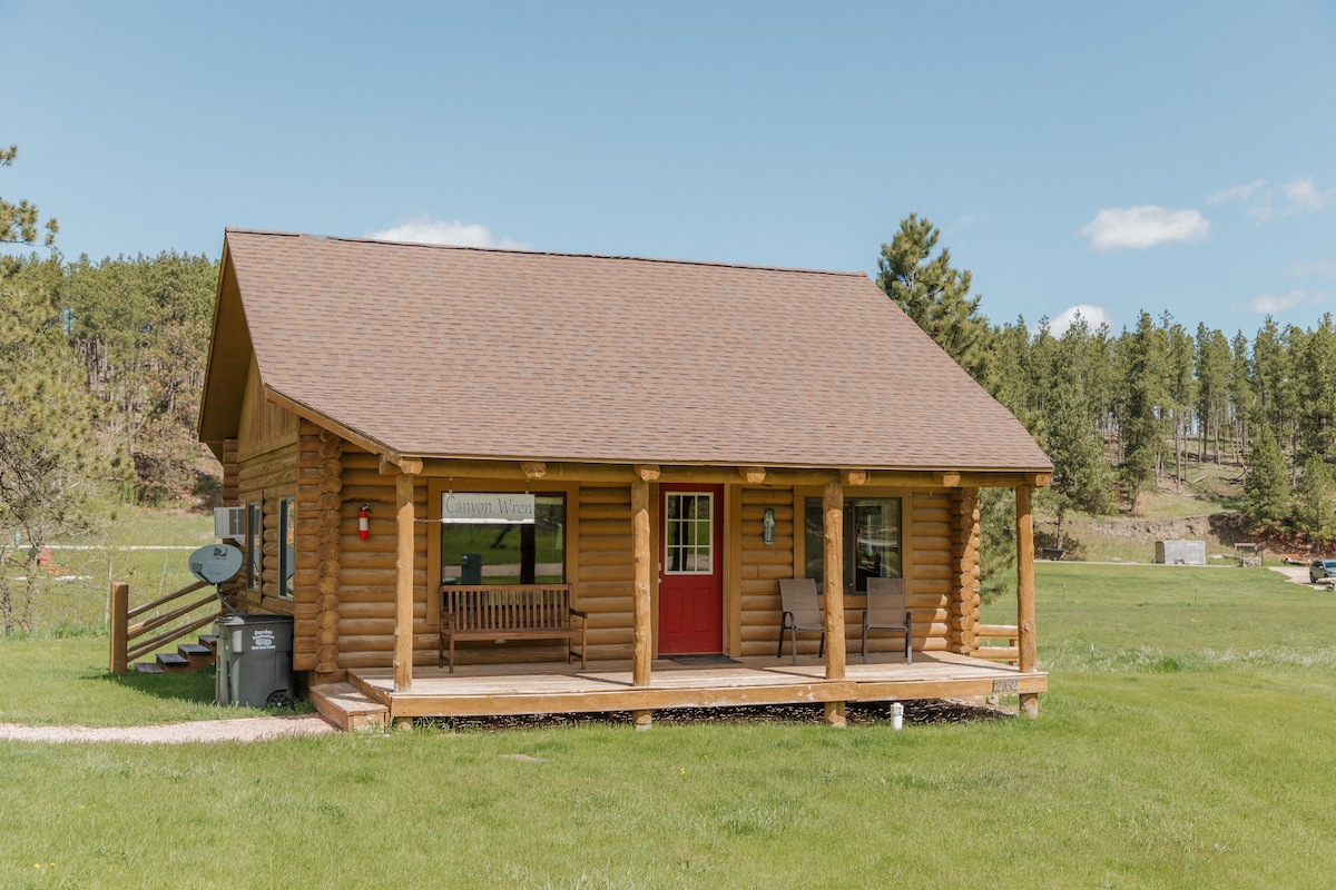 A rustic log cabin features a welcoming front porch, furnished with two chairs and a swing. The red front door contrasts with the natural wood, and the grassy area is surrounded by trees in the background, offering a serene outdoor setting.
