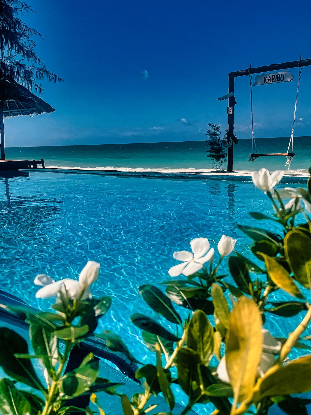 A sparkling pool is showcased, reflecting the clear blue sky and the shoreline beyond. Delicate white flowers frame the foreground, enhancing the serene atmosphere. A wooden swing labeled 'Karibu' is positioned near the water's edge, inviting relaxation and enjoyment of the coastal views.