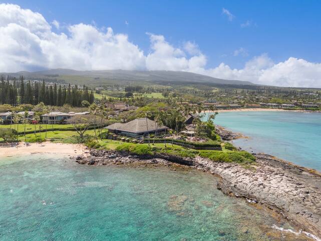 #1 Guest Favorite for Napili & Kapalua Bays! gallery image 3