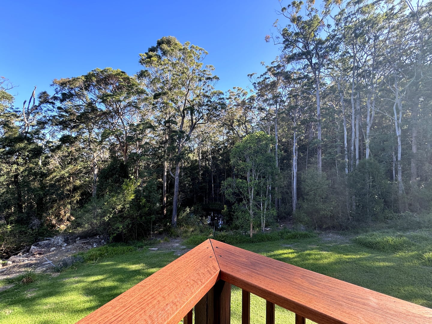 Lawn and forest seen from the deck
