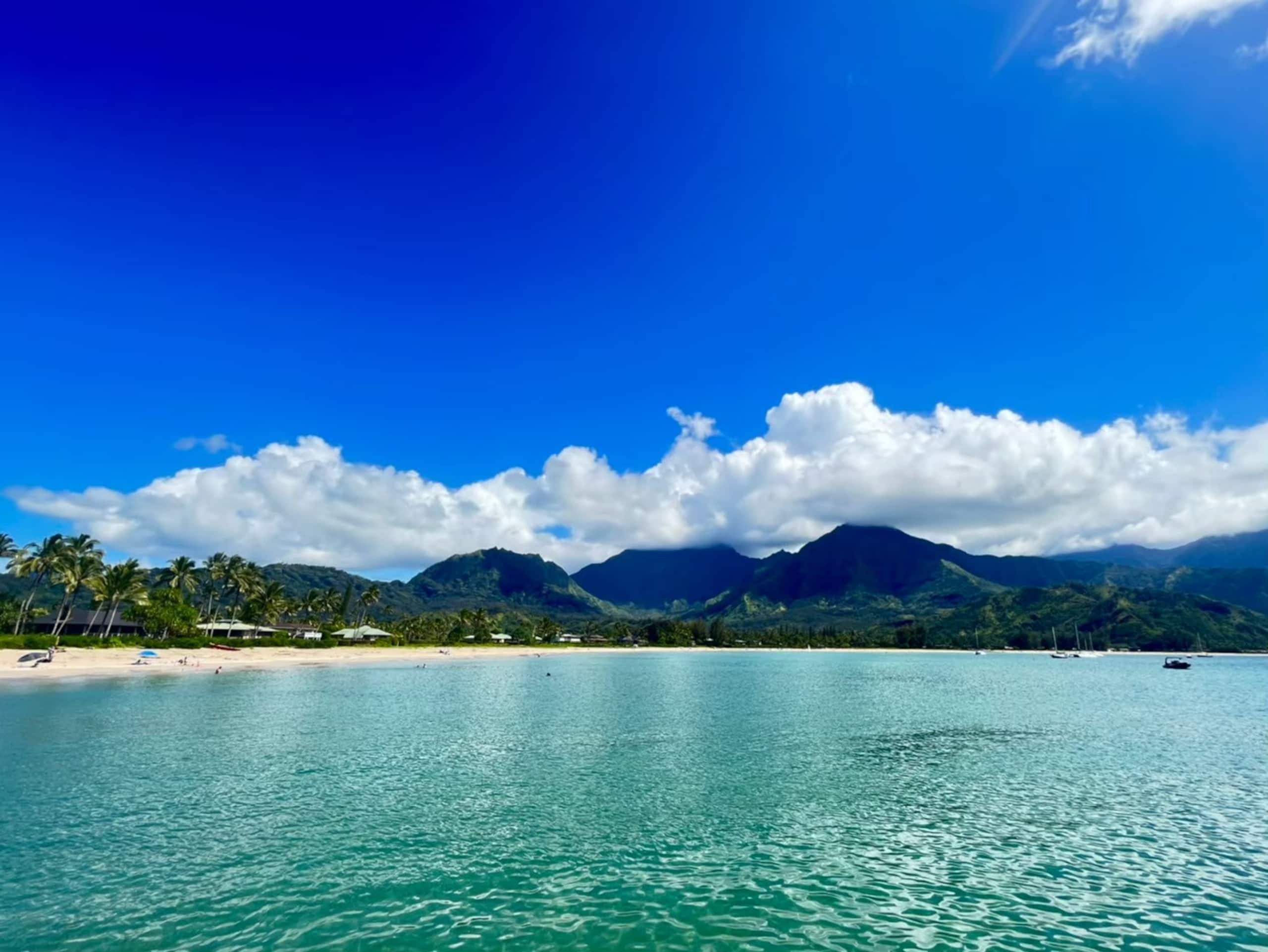 #Ocean view private studio W/free reserved parking - Image 39