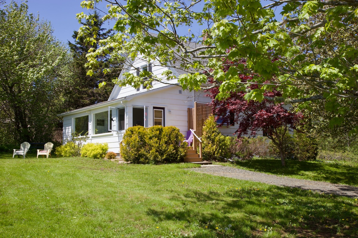 A charming cottage is set among lush greenery, featuring a well-maintained lawn and a pathway leading to the entrance. Two Adirondack chairs are positioned on the grass, providing a suitable spot for relaxation. Various trees surround the property, enhancing the tranquil landscape.